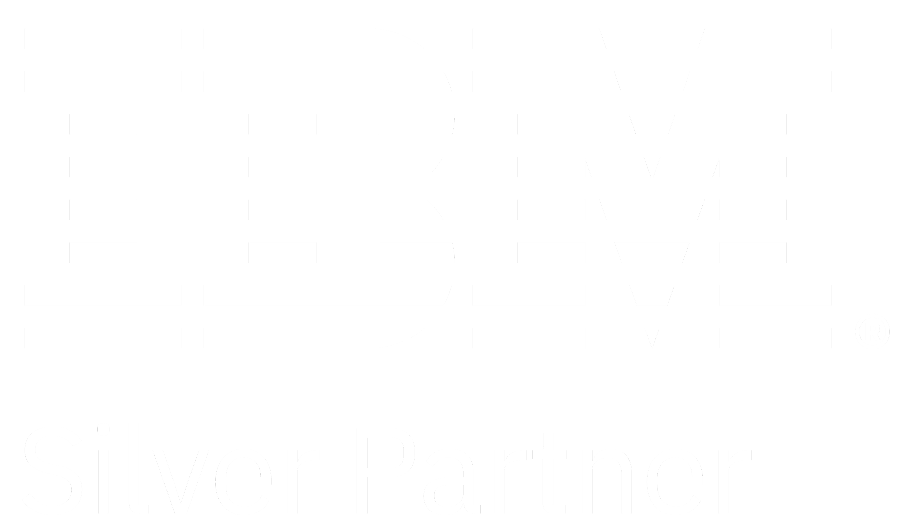 Logo IBM silver partner
