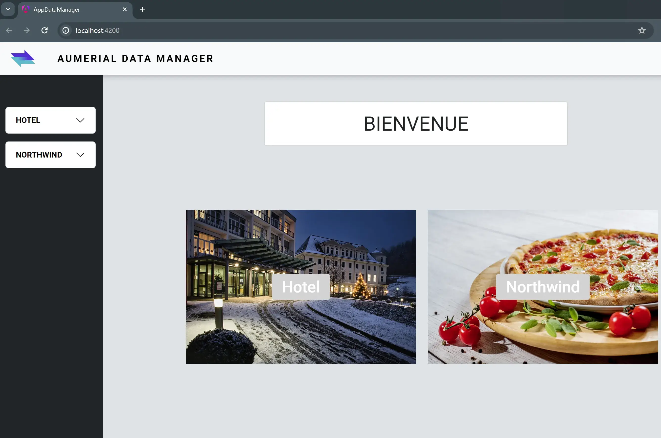 Angular application displaying DB2&nbsp;for&nbsp;i data