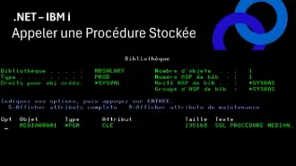 Image principale de l’article « Appeler une procédure stockée SQL IBM i/DB2 for i en .NET avec NTi »