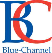 Logo Blue Chanel Partner